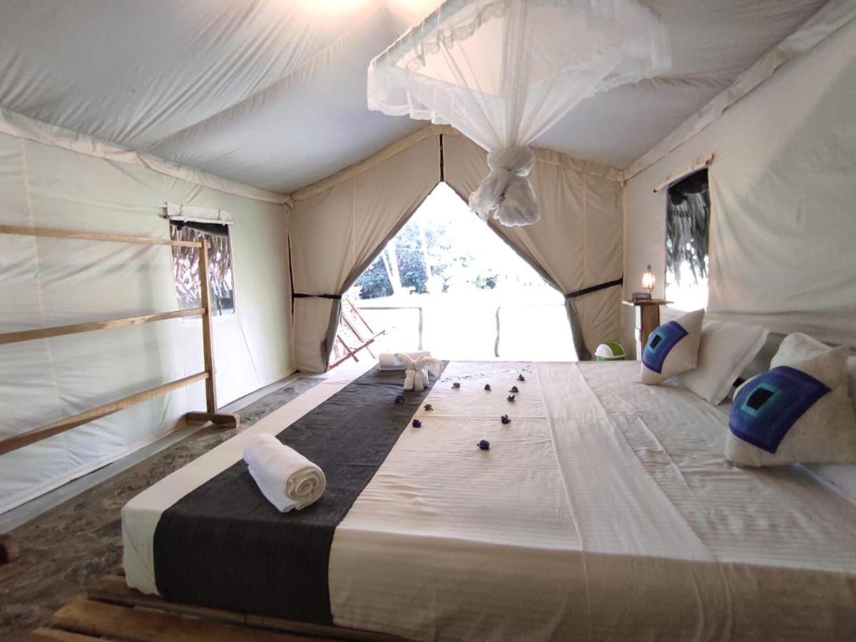 Jungle View River Camping ウダワラウェ エクステリア 写真