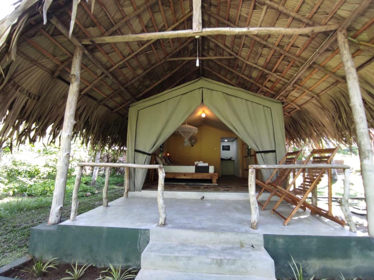 Jungle View River Camping ウダワラウェ エクステリア 写真