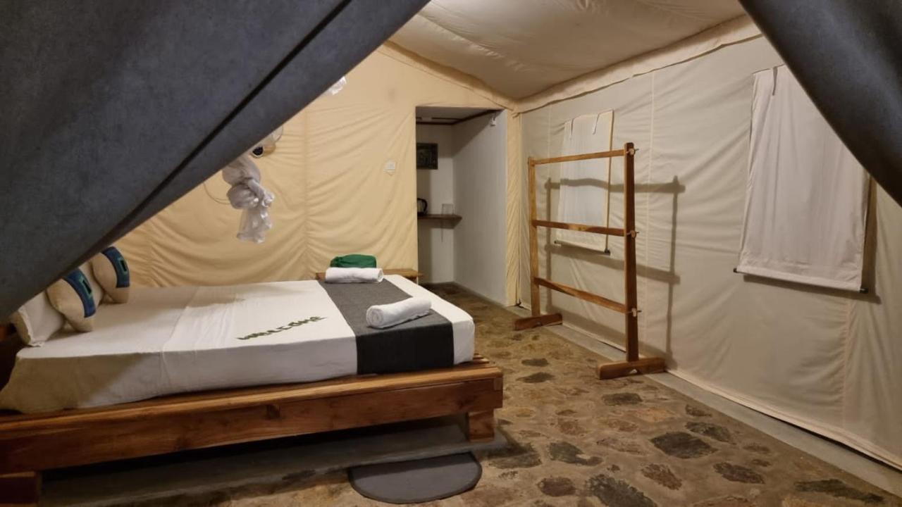 Jungle View River Camping ウダワラウェ エクステリア 写真