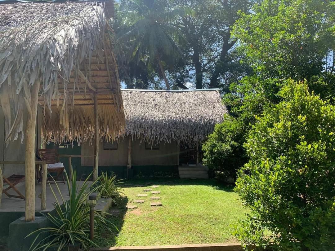Jungle View River Camping ウダワラウェ エクステリア 写真