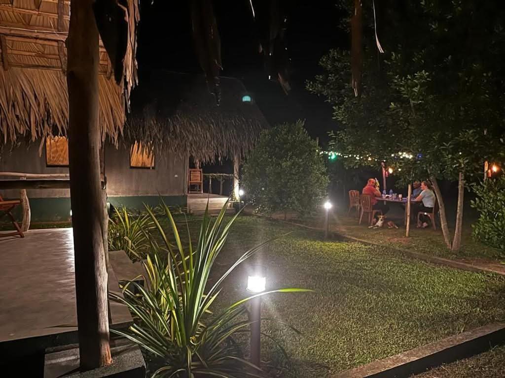 Jungle View River Camping ウダワラウェ エクステリア 写真