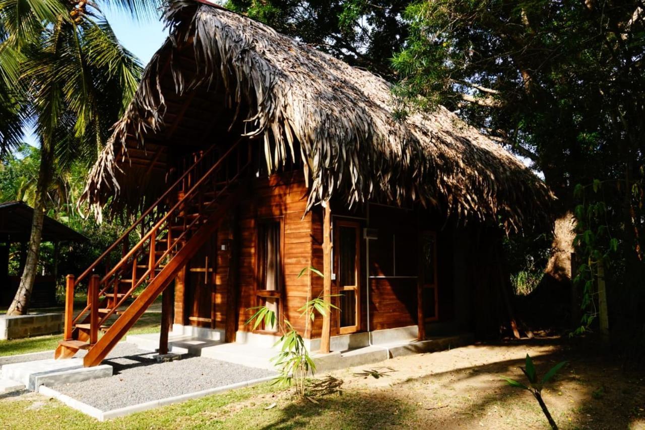 Jungle View River Camping ウダワラウェ エクステリア 写真