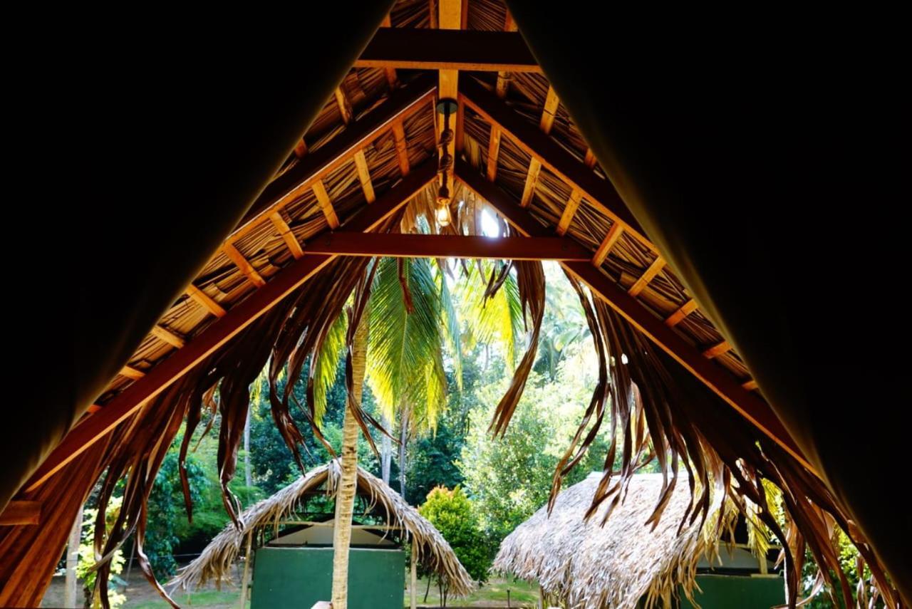 Jungle View River Camping ウダワラウェ エクステリア 写真