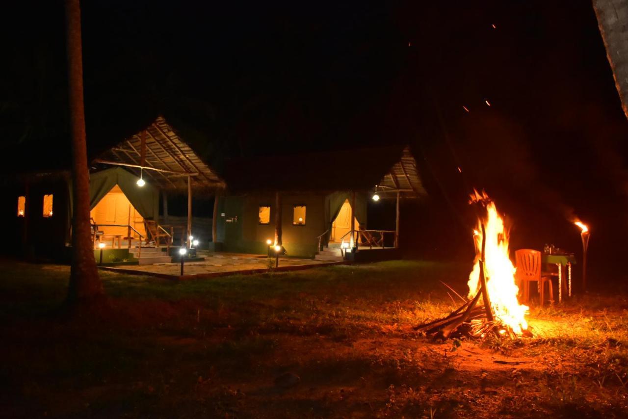 Jungle View River Camping ウダワラウェ エクステリア 写真