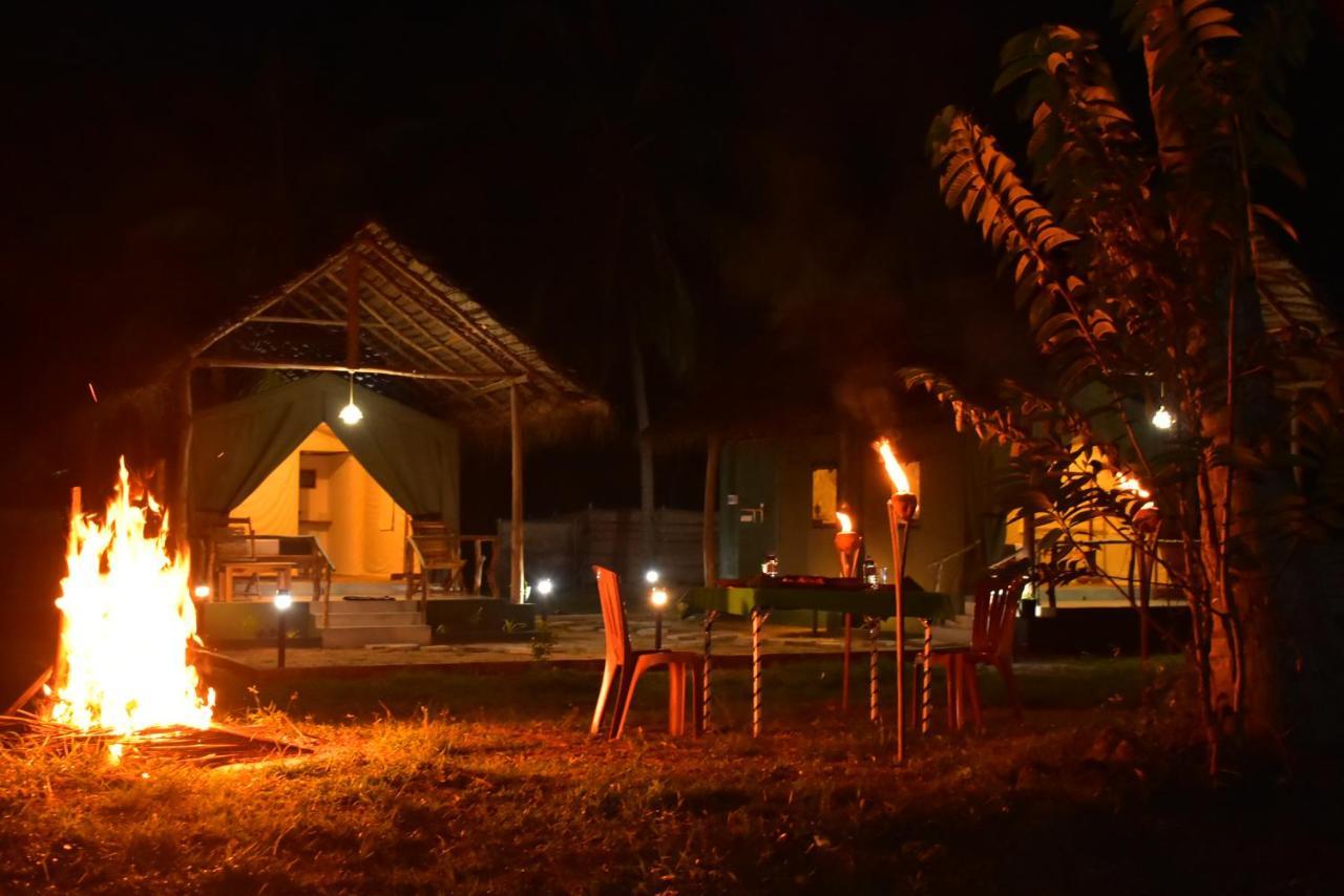 Jungle View River Camping ウダワラウェ エクステリア 写真