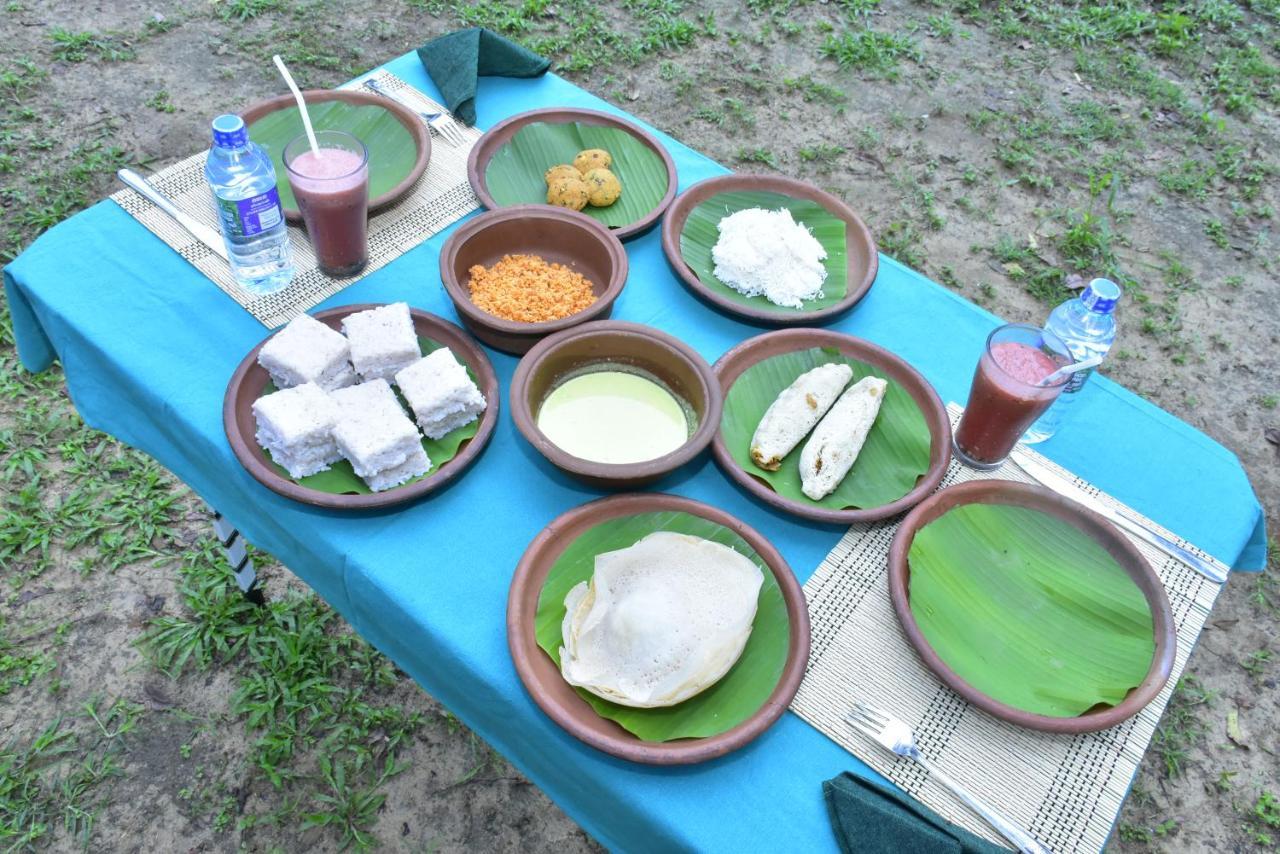 Jungle View River Camping ウダワラウェ エクステリア 写真